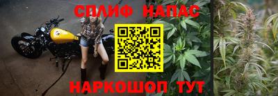 шишки Дубна