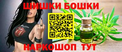 шишки Дубна