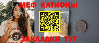 шишки Дубна