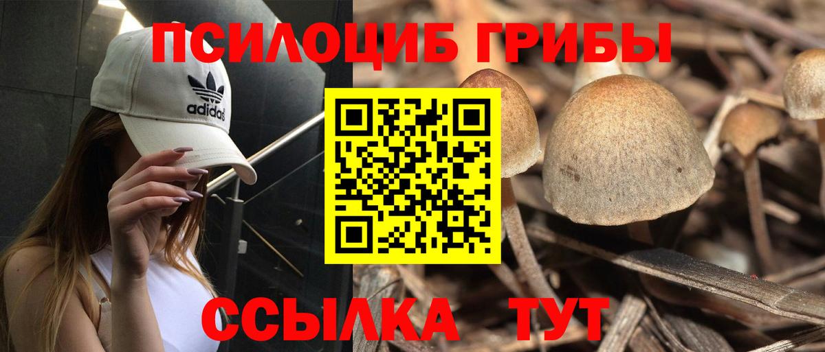 Иркутск  Псилоцибиновые грибы Cubensis  Вход с VPN  Псилоцибиновые грибы GOLDEN TEACHER 